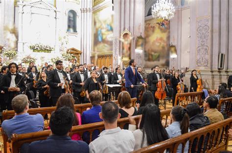 El Concierto Acústico de Amor Vittone: Una Noche Mágica en Ciudad del Cabo!